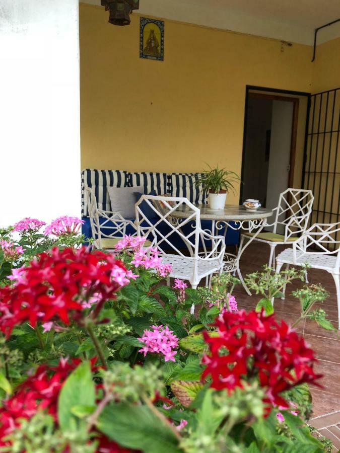 Chalet Junto Playa Y Centro Sanlúcar de Barrameda Exteriér fotografie